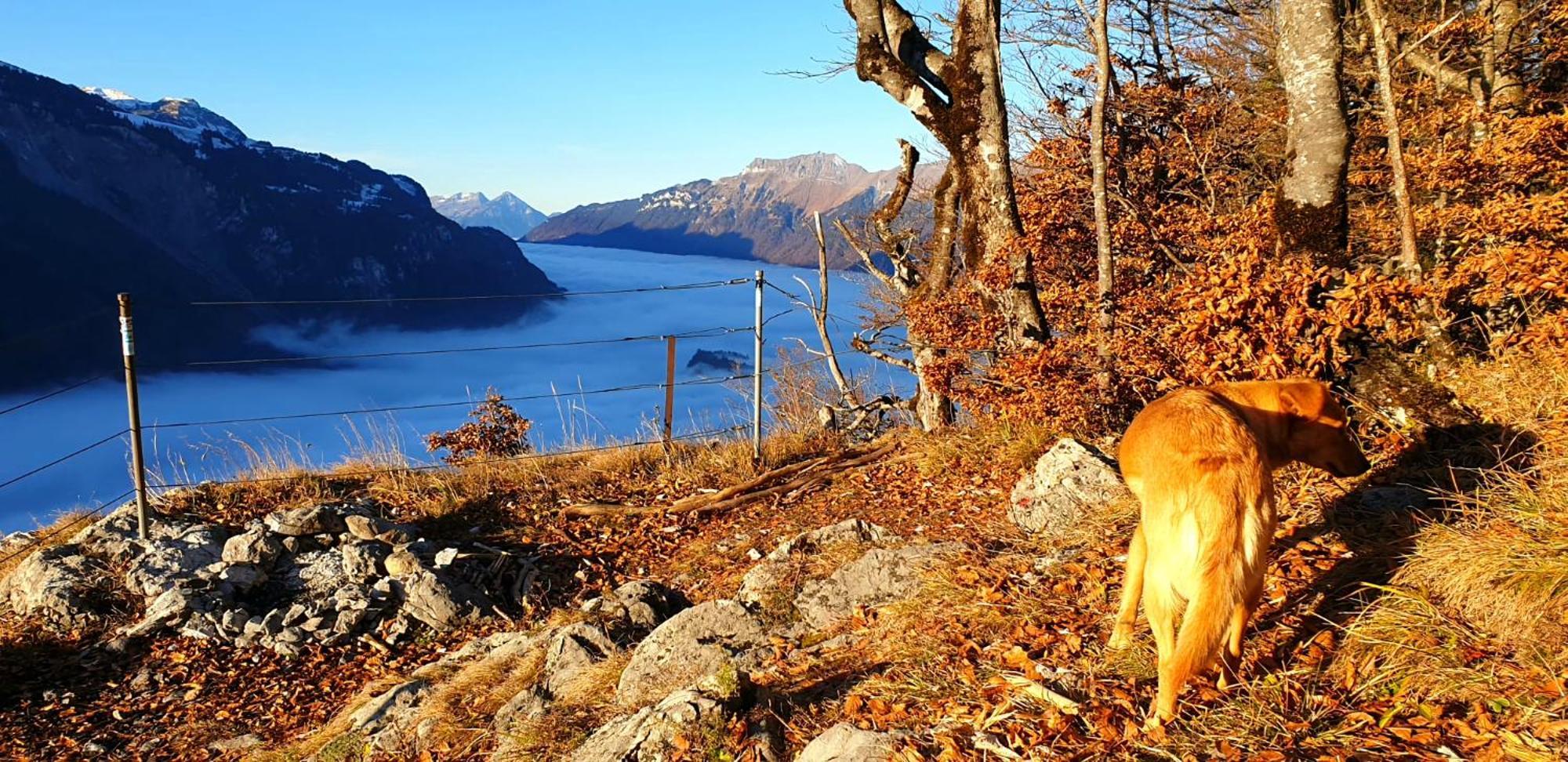 Gemuetliche Fewo Mit Sauna Inmitten Der Berge Майрінґен Екстер'єр фото